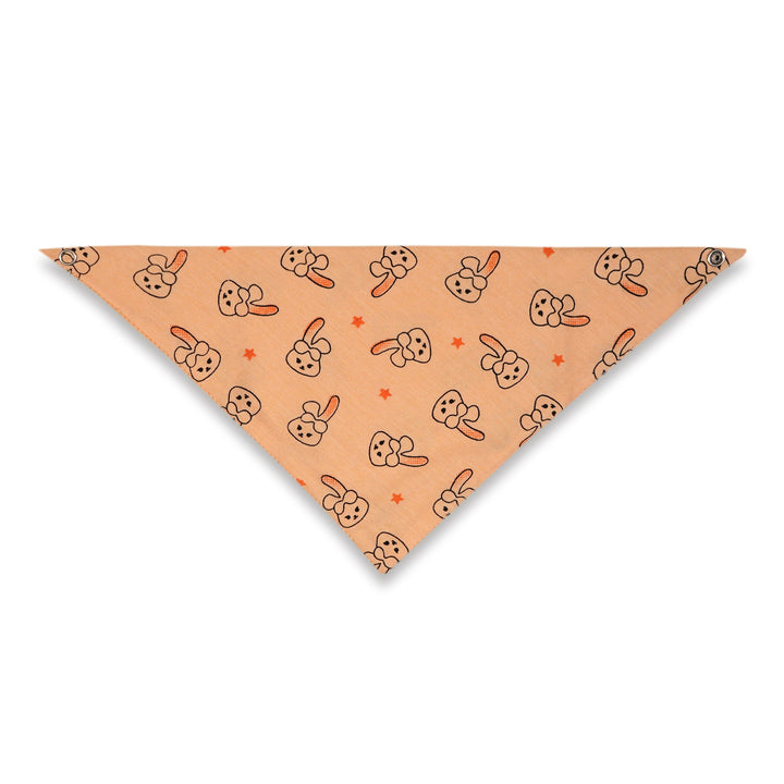 SUNSHINE BABY BANDANA BIB RABBIT