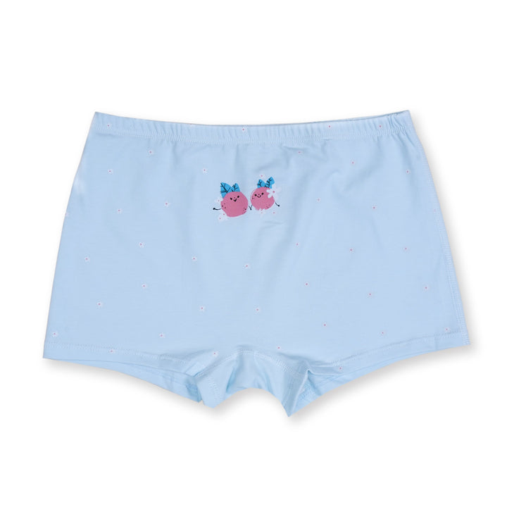 SUNSHINE KIDS UNDERWEAR CHERRY BLUE 150 2XL 6-7Y